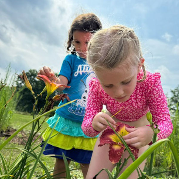 Childrens Garden